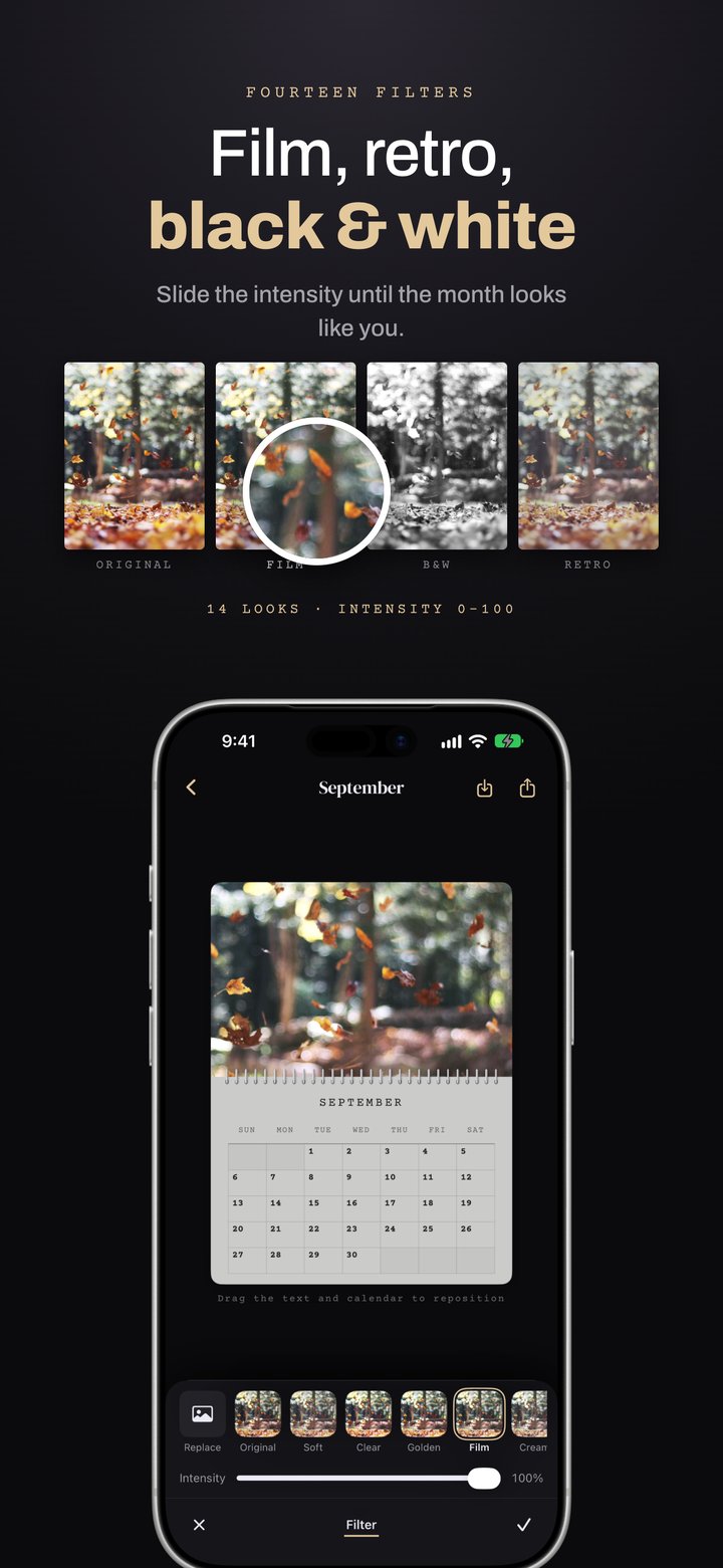 Film, retro, black and white: filters with a strength slider